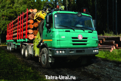 t815-231r25_cmyk